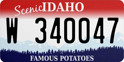 ID license plate W340047