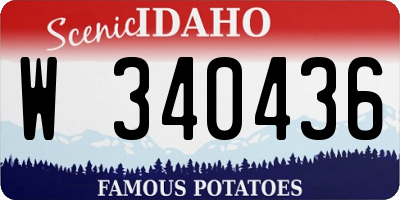 ID license plate W340436