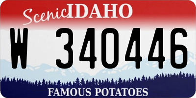 ID license plate W340446