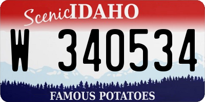 ID license plate W340534