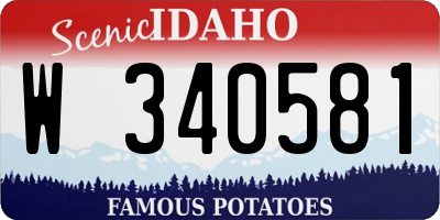 ID license plate W340581