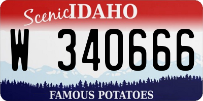 ID license plate W340666