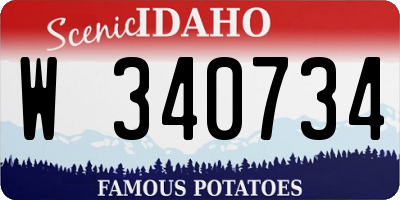 ID license plate W340734