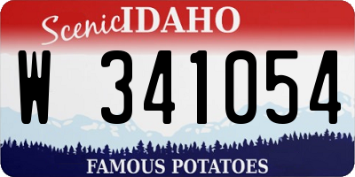 ID license plate W341054