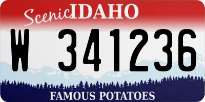 ID license plate W341236