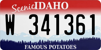 ID license plate W341361