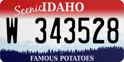 ID license plate W343528