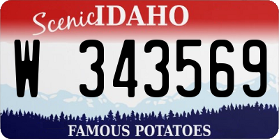 ID license plate W343569
