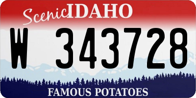 ID license plate W343728