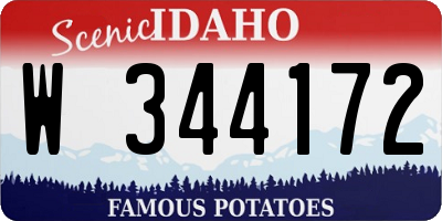 ID license plate W344172