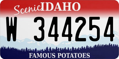 ID license plate W344254