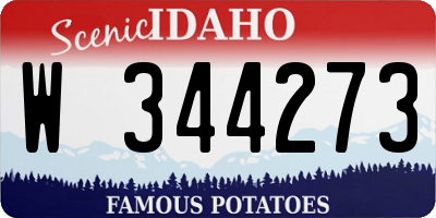 ID license plate W344273