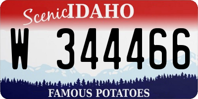 ID license plate W344466