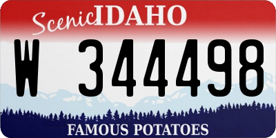 ID license plate W344498