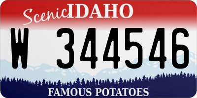 ID license plate W344546