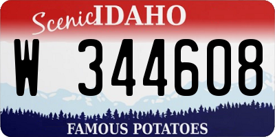 ID license plate W344608