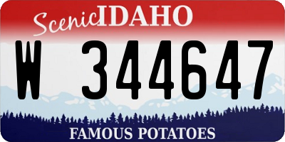 ID license plate W344647