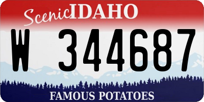 ID license plate W344687
