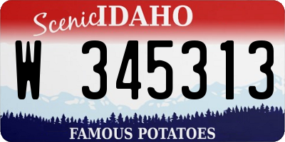 ID license plate W345313