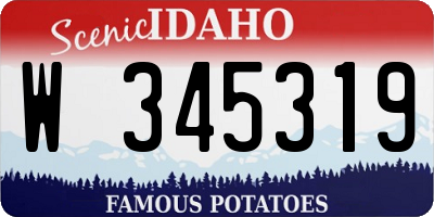 ID license plate W345319