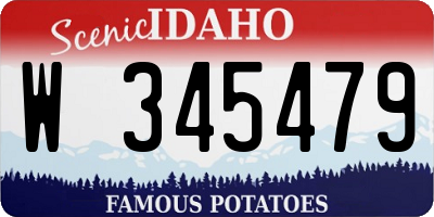 ID license plate W345479