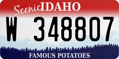 ID license plate W348807
