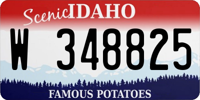 ID license plate W348825