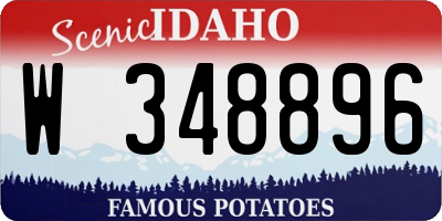 ID license plate W348896