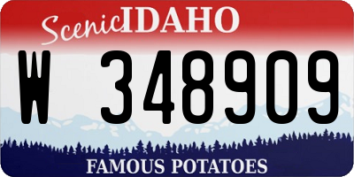 ID license plate W348909