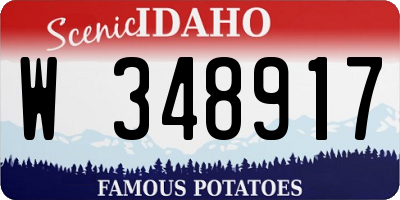 ID license plate W348917