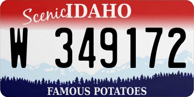ID license plate W349172
