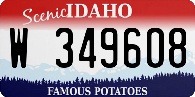 ID license plate W349608