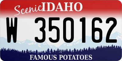 ID license plate W350162