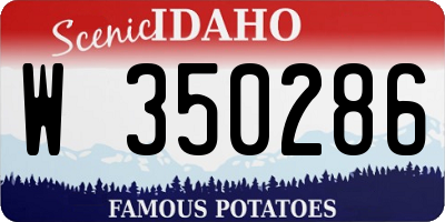 ID license plate W350286