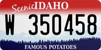 ID license plate W350458