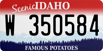 ID license plate W350584