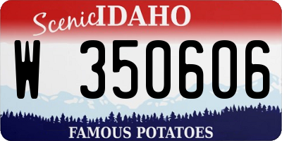 ID license plate W350606