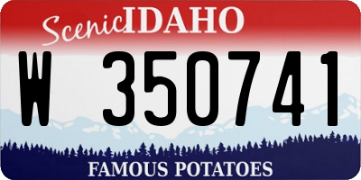 ID license plate W350741