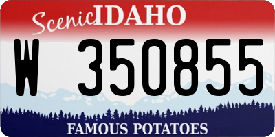 ID license plate W350855
