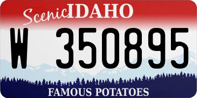 ID license plate W350895