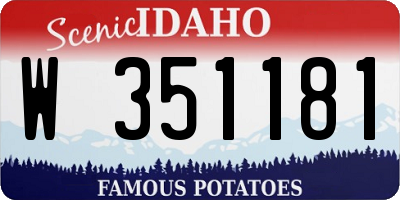 ID license plate W351181