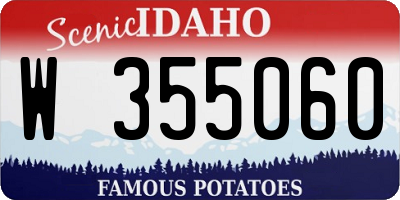 ID license plate W355060