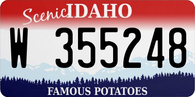 ID license plate W355248