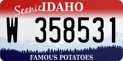 ID license plate W358531