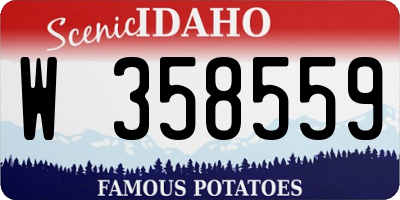 ID license plate W358559