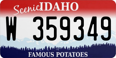 ID license plate W359349