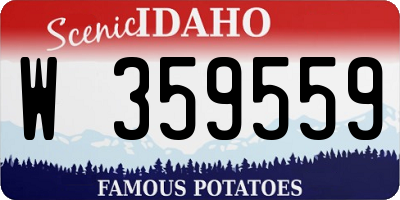 ID license plate W359559