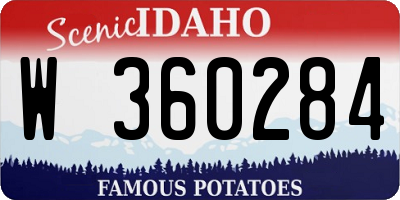 ID license plate W360284