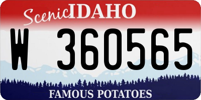 ID license plate W360565