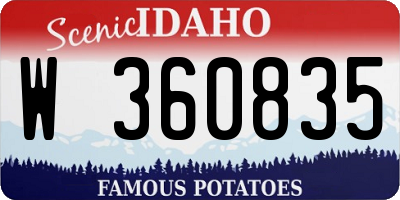 ID license plate W360835